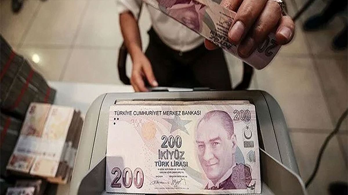 yatırımcı destek