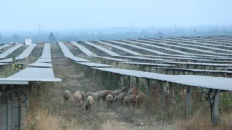 Hatay'daki Erzin-2 GES'te 75 bin megavatsaat elektrik üretildi